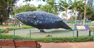 whale statue Aug. 7, 2014 smallerlong