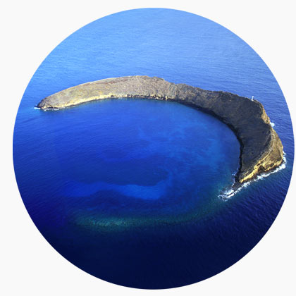 molokini diving