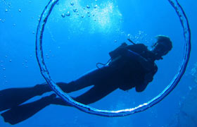 maui scuba diving