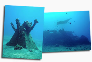 Maui Scuba Dive WW2 Objects