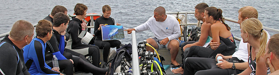 our Maui scuba diving guides
