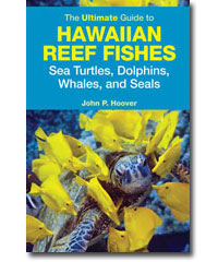 The ultimate guide to Hawaiian Reef Fishes