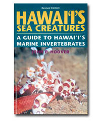 Hawaii's Sea Creatures