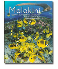 Molokini - Hawaii's Island Marine Sanctuary