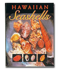 Hawaiian Seashells