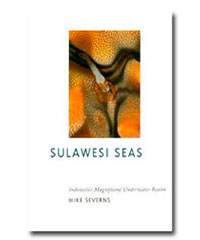 Sulawesi Seas Indonesia's Magnificent Underwater Realm