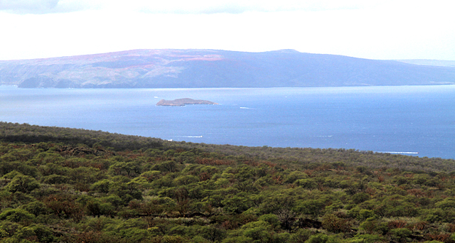 Molokini as seen form Pu‘u o kali