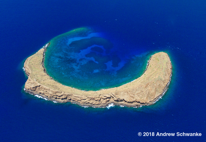 The C-shape of Molokini's rim has allowed a beautiful coral reef to grow within the protected crater. Photo: Andrew Schwanke