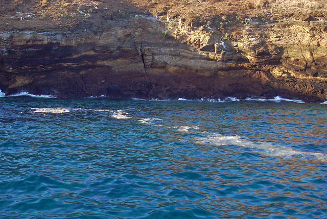 Rice coral spawn on the surface inside Molokini. Aug. 13, 2007. One day after the new moon.